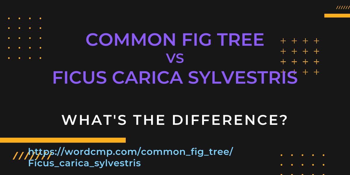 Difference between common fig tree and Ficus carica sylvestris