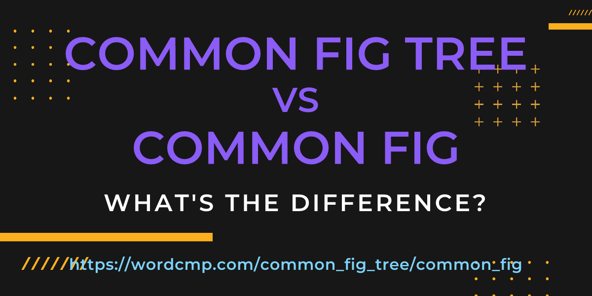 Difference between common fig tree and common fig