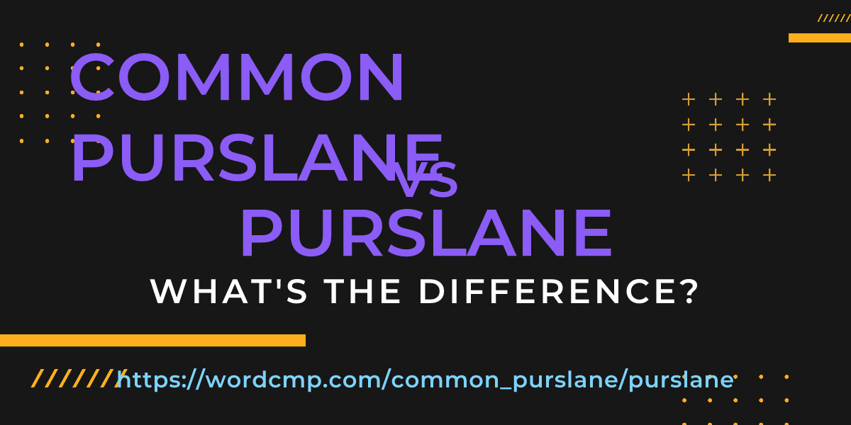 Difference between common purslane and purslane