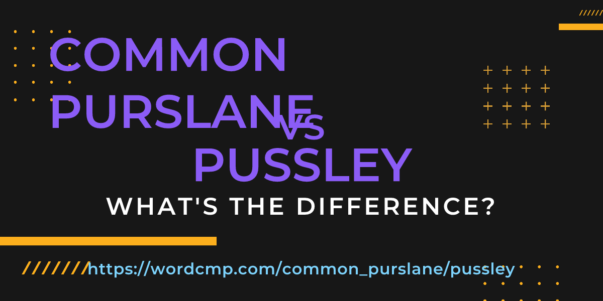 Difference between common purslane and pussley