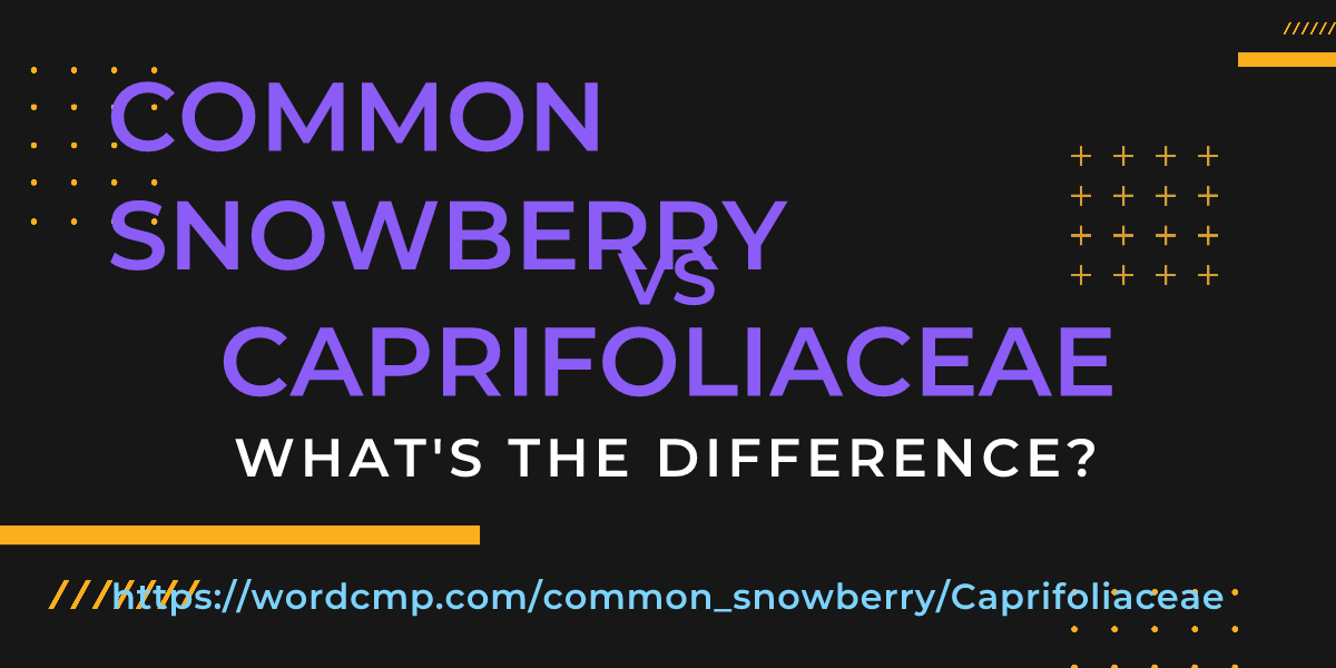 Difference between common snowberry and Caprifoliaceae
