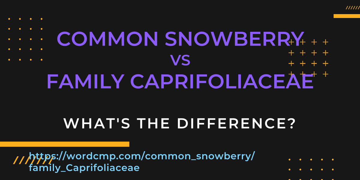 Difference between common snowberry and family Caprifoliaceae