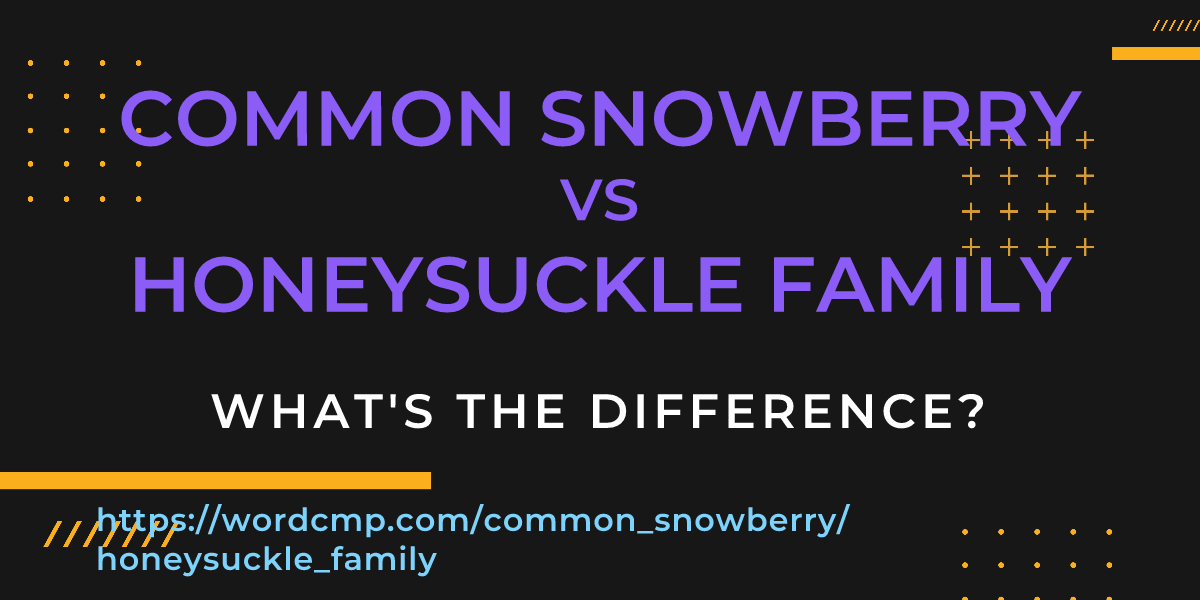Difference between common snowberry and honeysuckle family