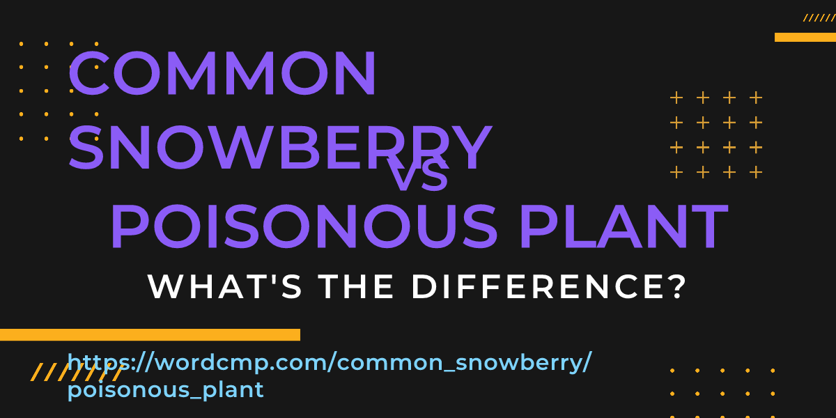 Difference between common snowberry and poisonous plant