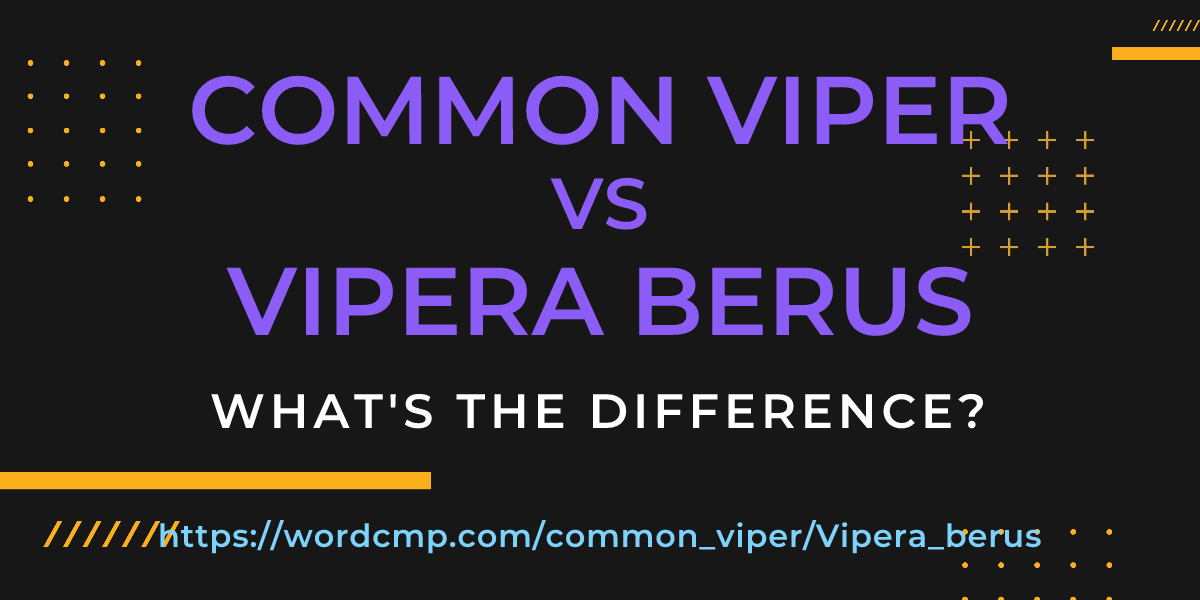 Difference between common viper and Vipera berus