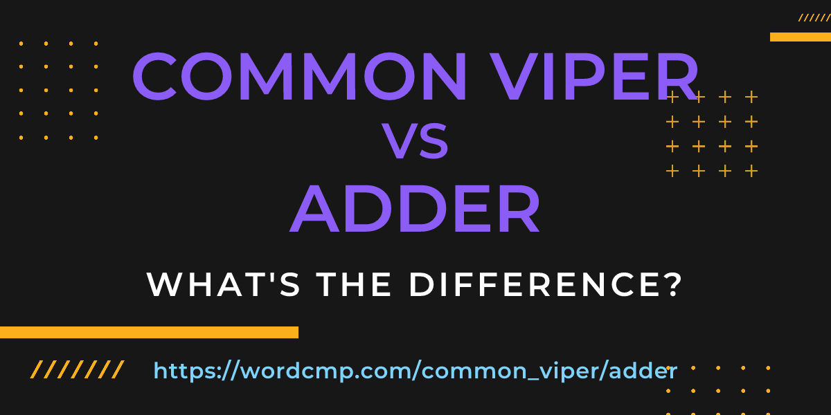 Difference between common viper and adder