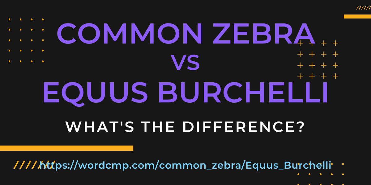 Difference between common zebra and Equus Burchelli