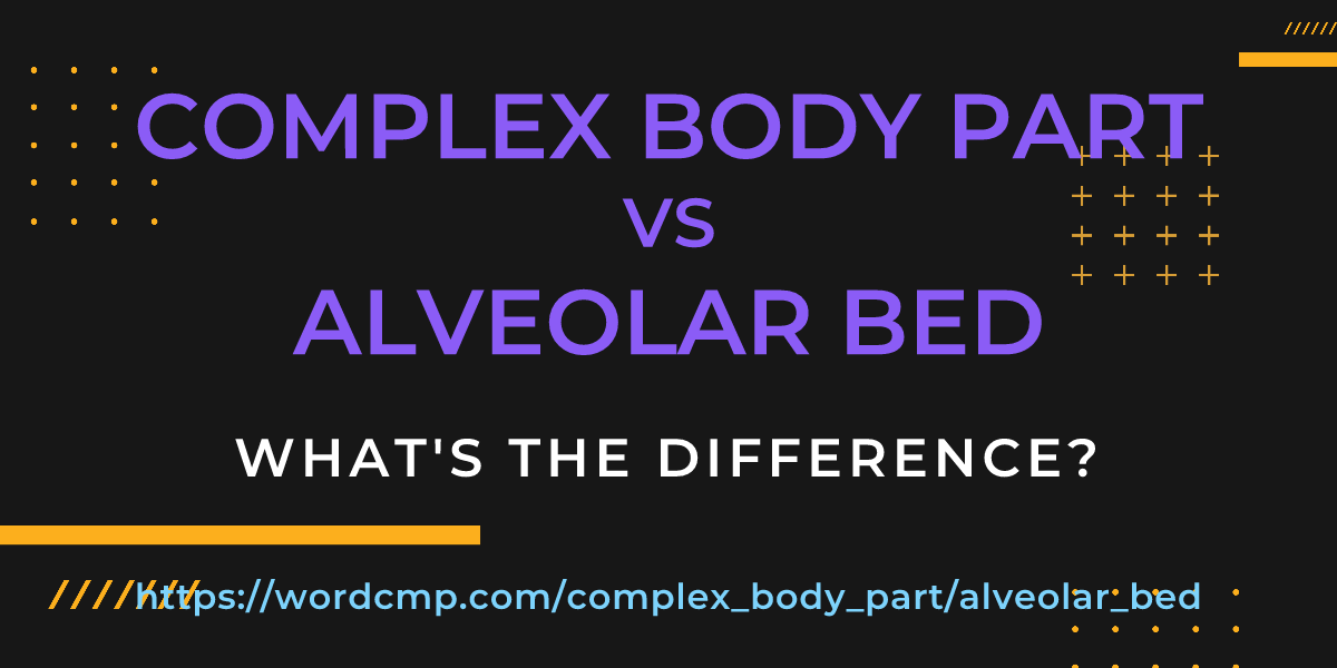 Difference between complex body part and alveolar bed