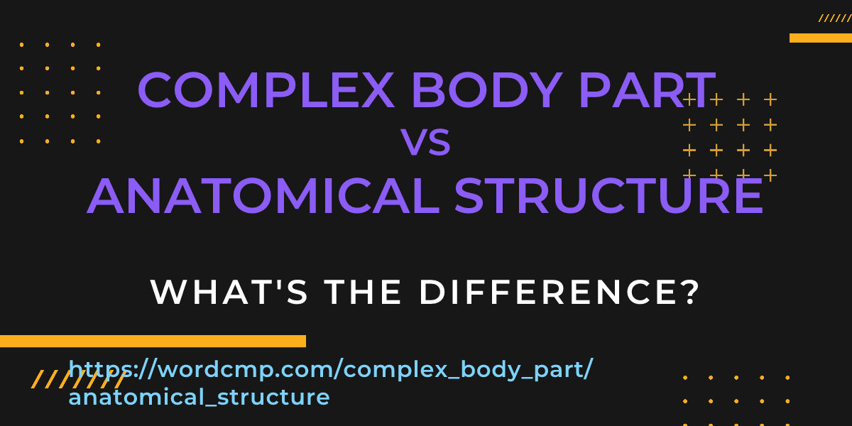 Difference between complex body part and anatomical structure