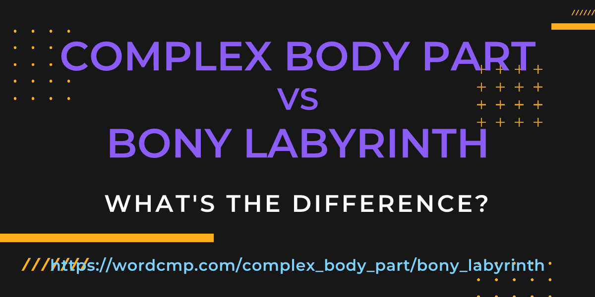Difference between complex body part and bony labyrinth