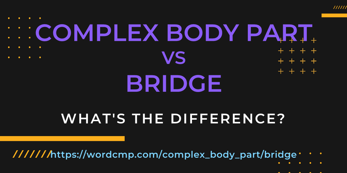Difference between complex body part and bridge