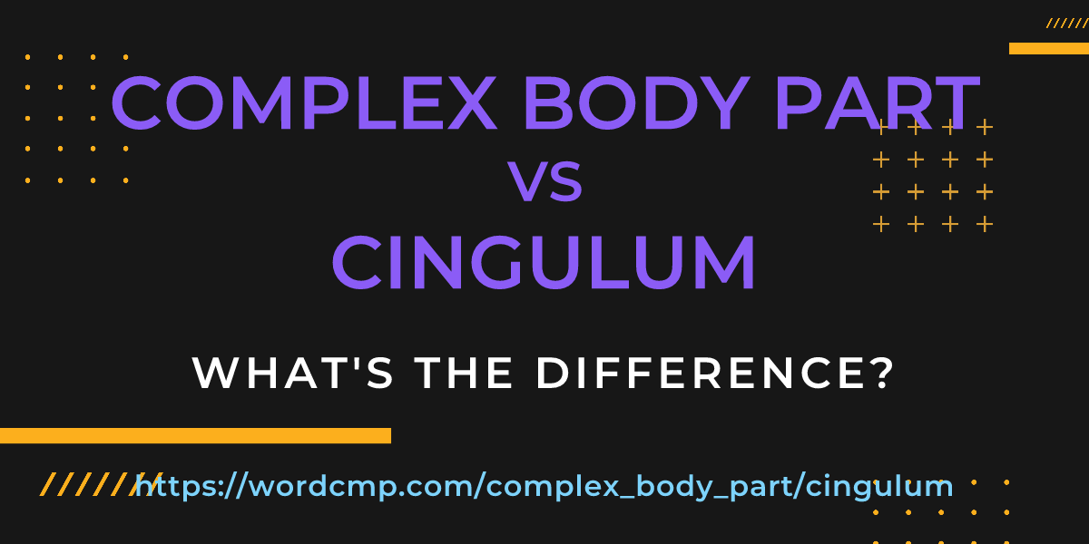 Difference between complex body part and cingulum
