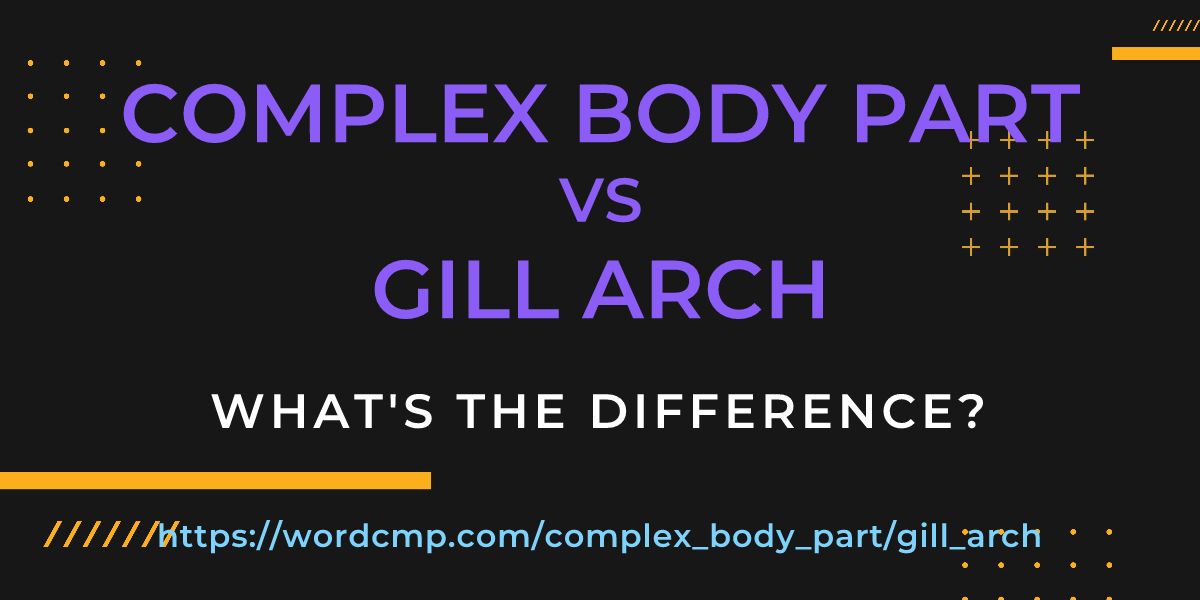Difference between complex body part and gill arch