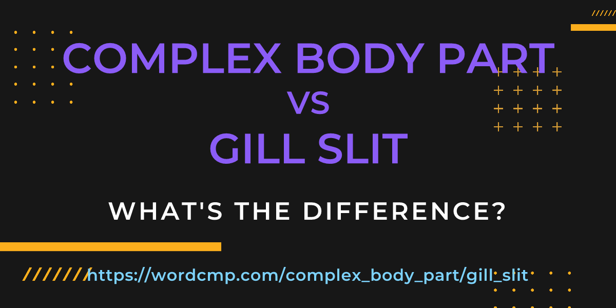 Difference between complex body part and gill slit