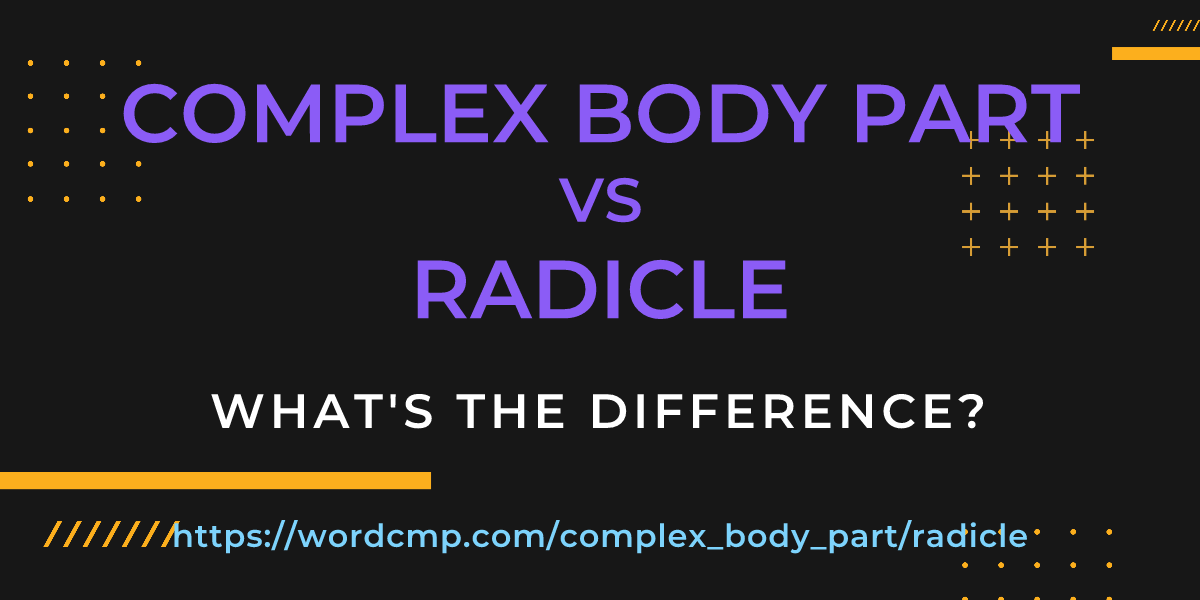 Difference between complex body part and radicle