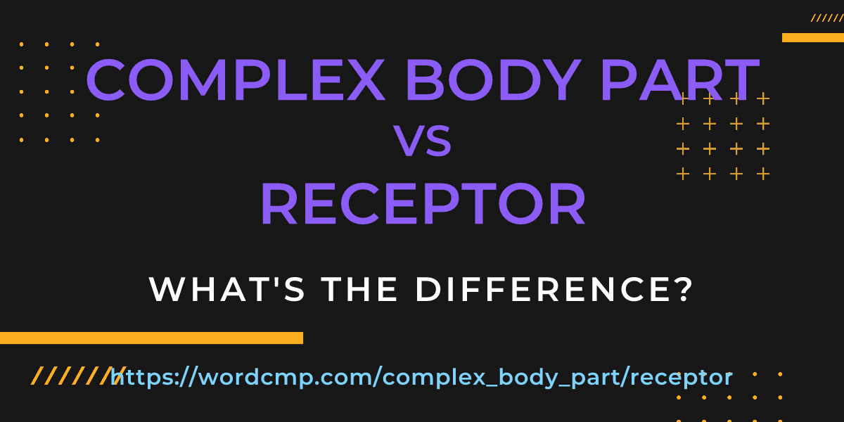 Difference between complex body part and receptor