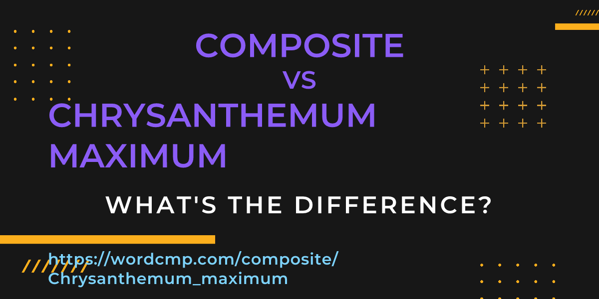 Difference between composite and Chrysanthemum maximum