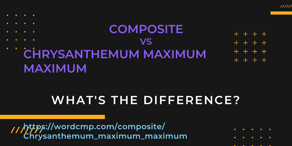 Difference between composite and Chrysanthemum maximum maximum