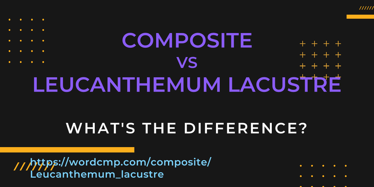 Difference between composite and Leucanthemum lacustre