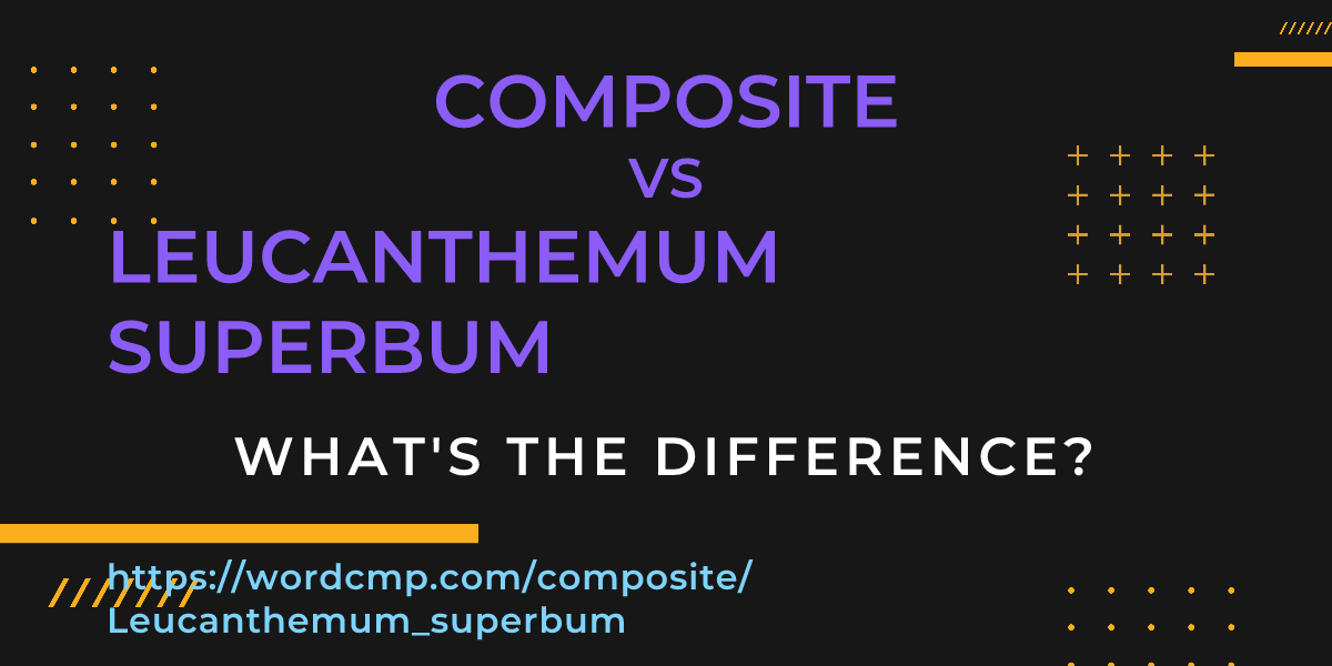 Difference between composite and Leucanthemum superbum