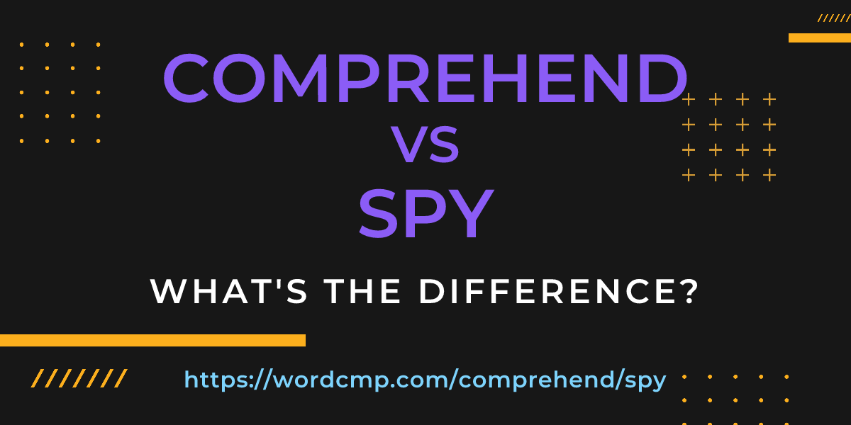 Difference between comprehend and spy