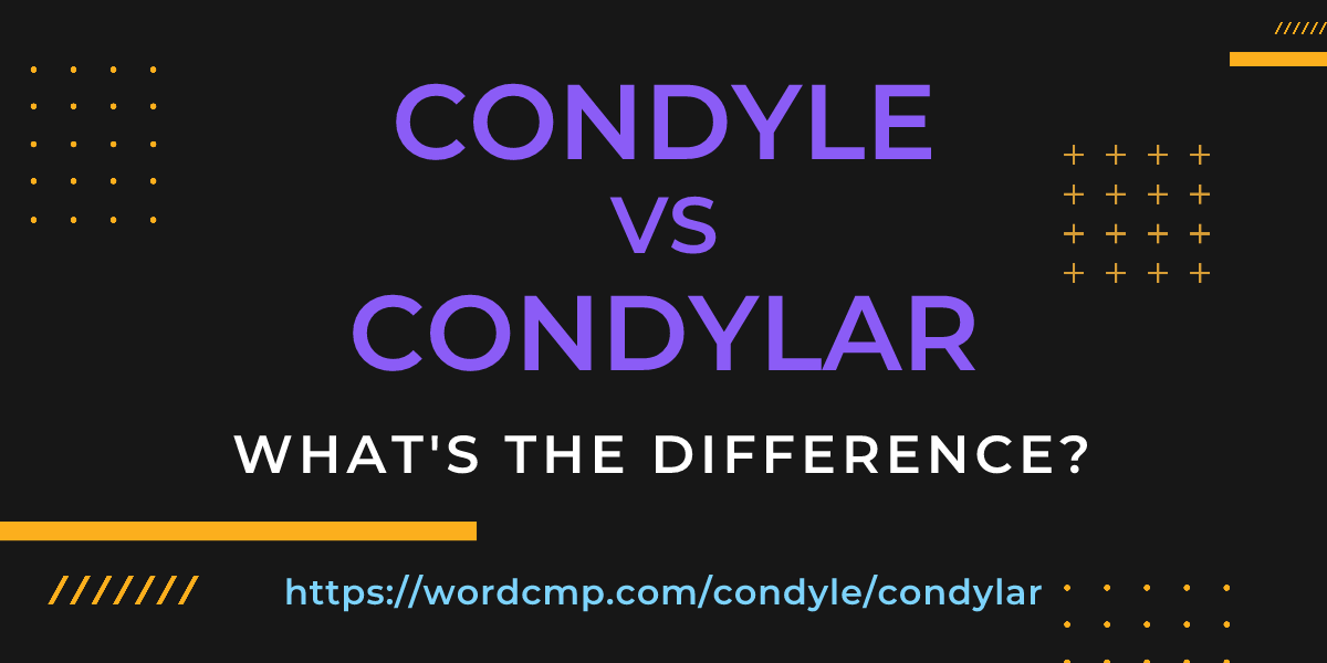 Difference between condyle and condylar