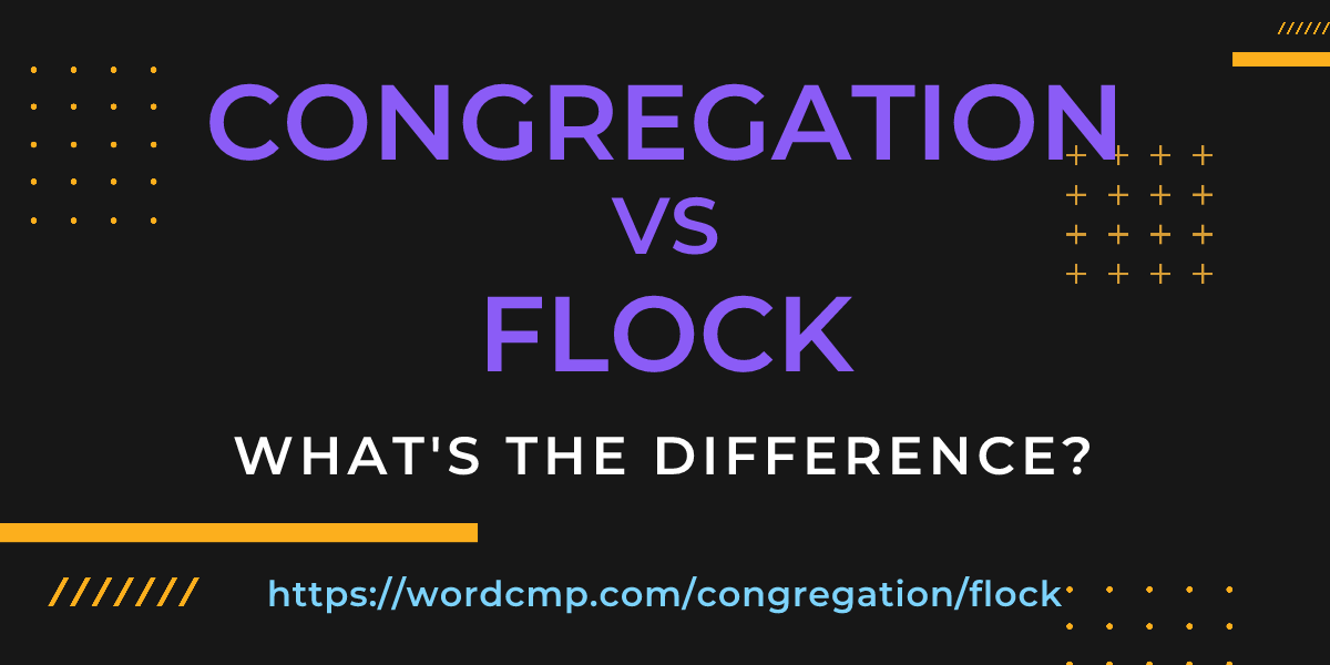 Difference between congregation and flock