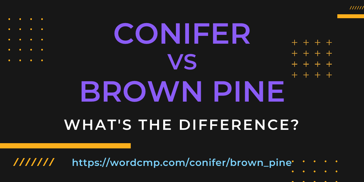Difference between conifer and brown pine