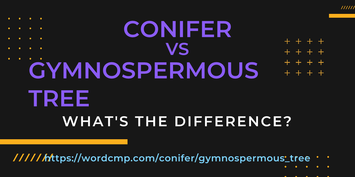 Difference between conifer and gymnospermous tree