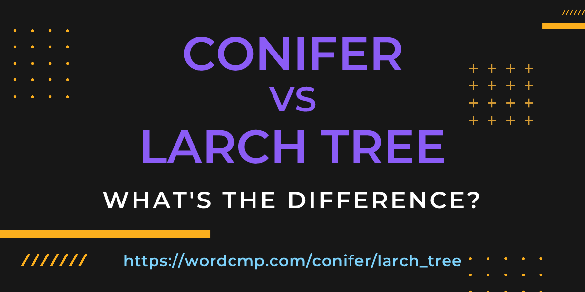 Difference between conifer and larch tree