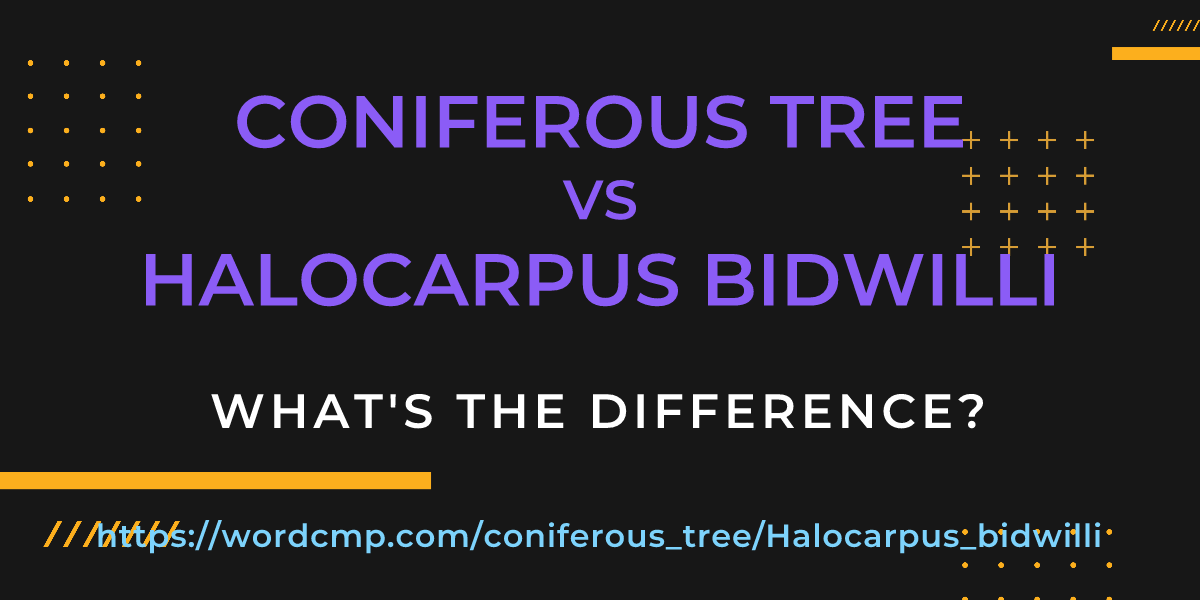 Difference between coniferous tree and Halocarpus bidwilli