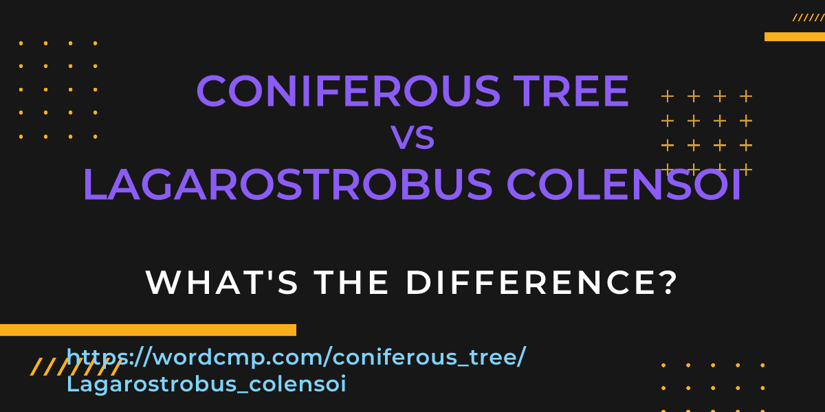 Difference between coniferous tree and Lagarostrobus colensoi