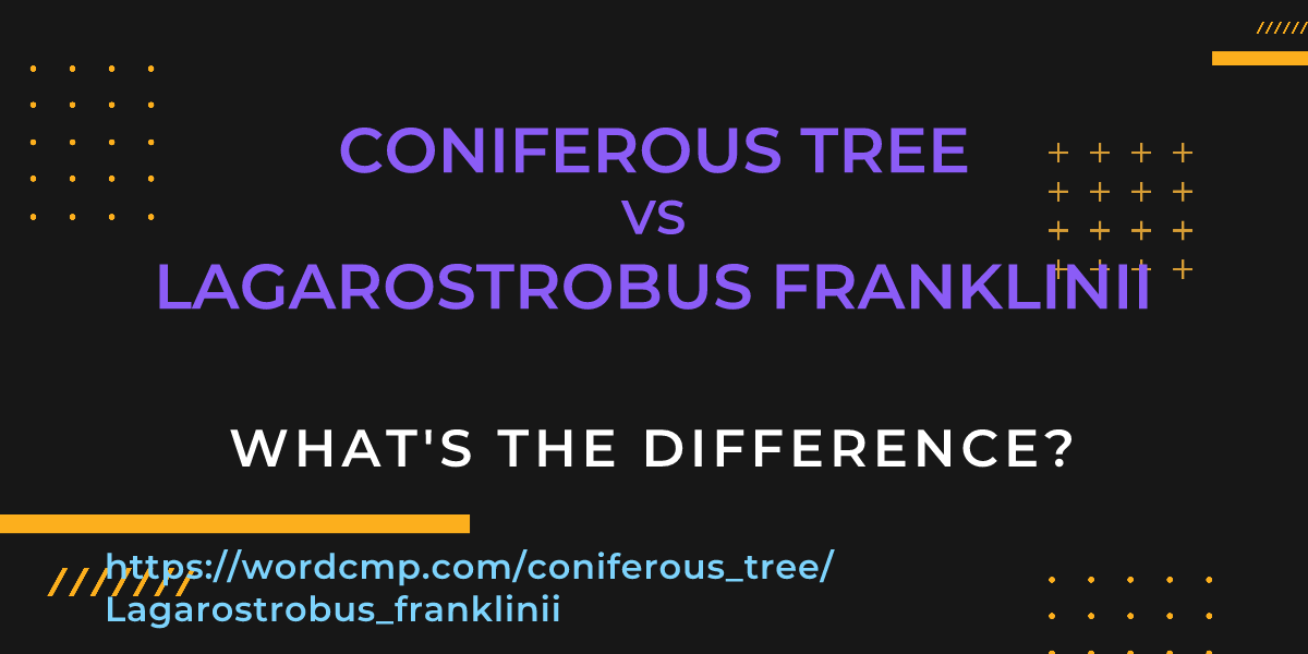 Difference between coniferous tree and Lagarostrobus franklinii