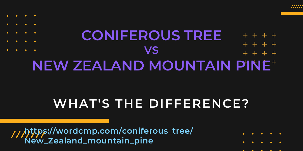 Difference between coniferous tree and New Zealand mountain pine