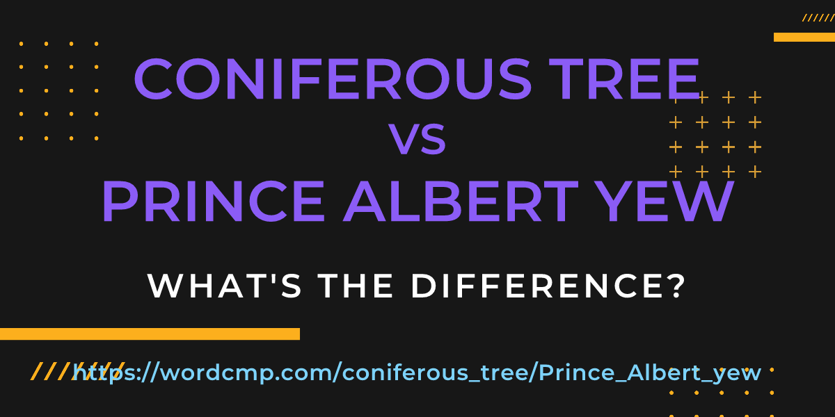 Difference between coniferous tree and Prince Albert yew