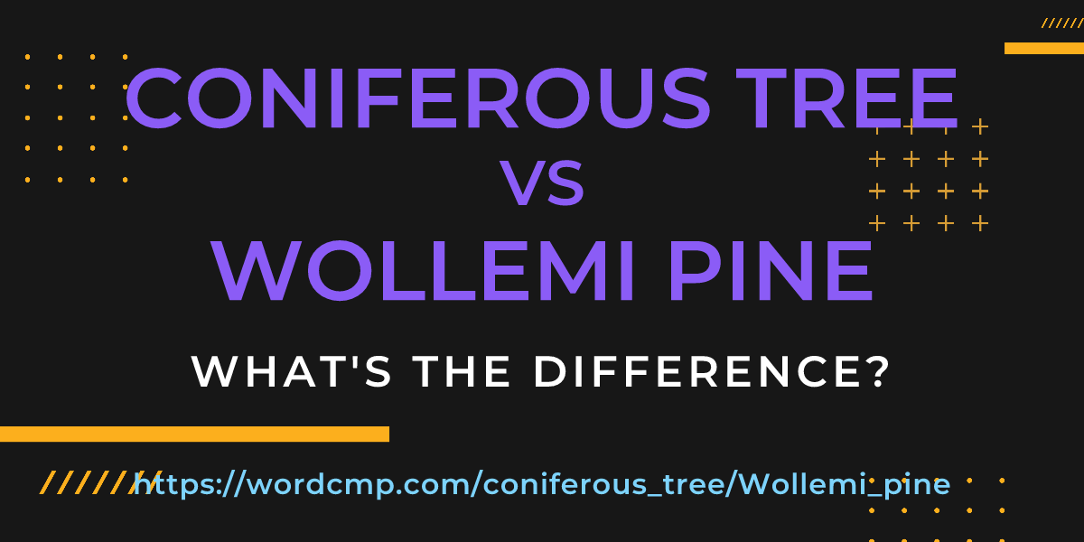 Difference between coniferous tree and Wollemi pine
