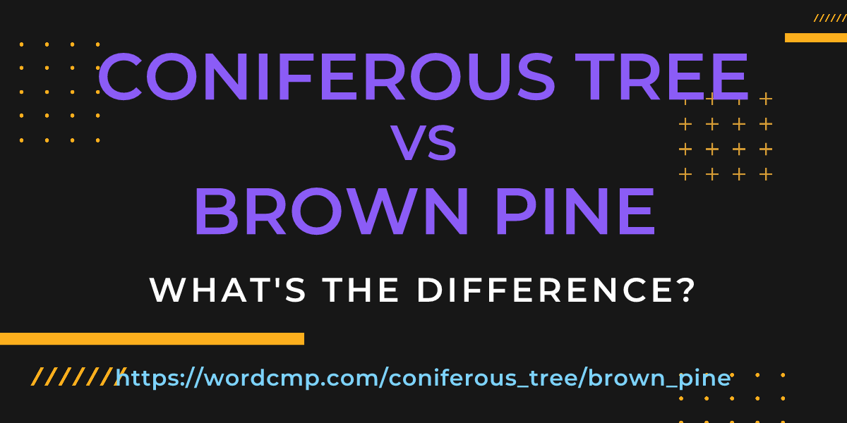 Difference between coniferous tree and brown pine