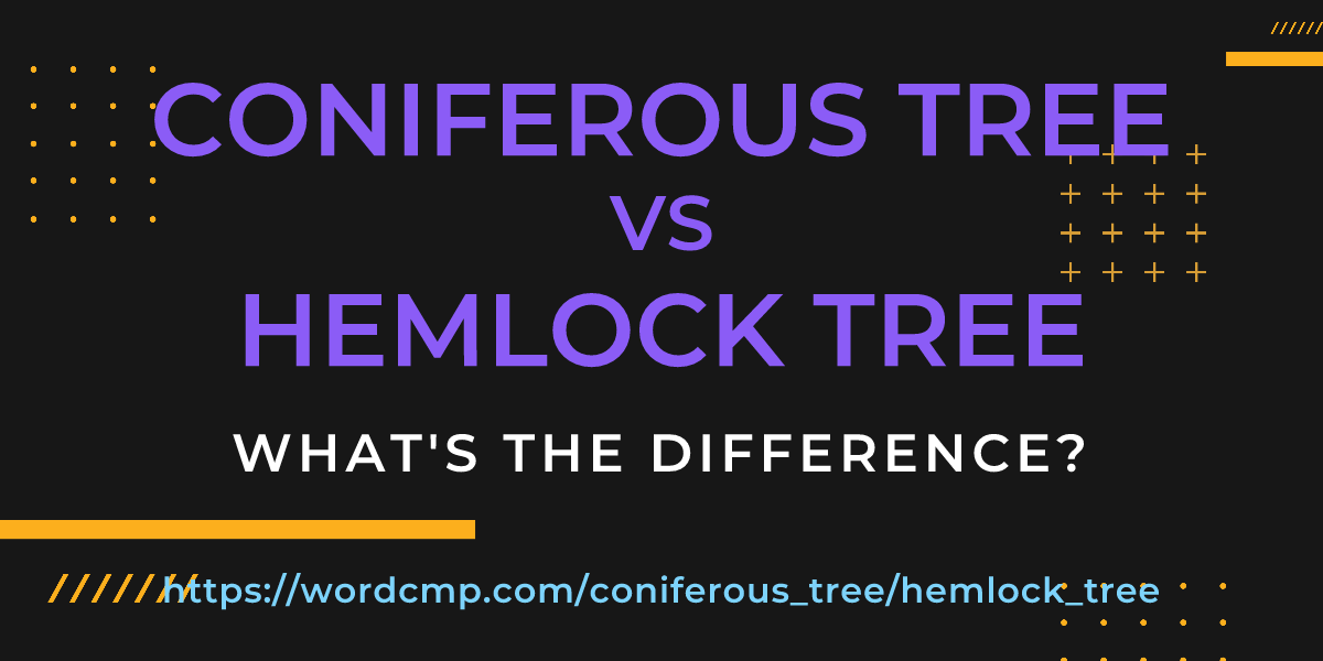 Difference between coniferous tree and hemlock tree