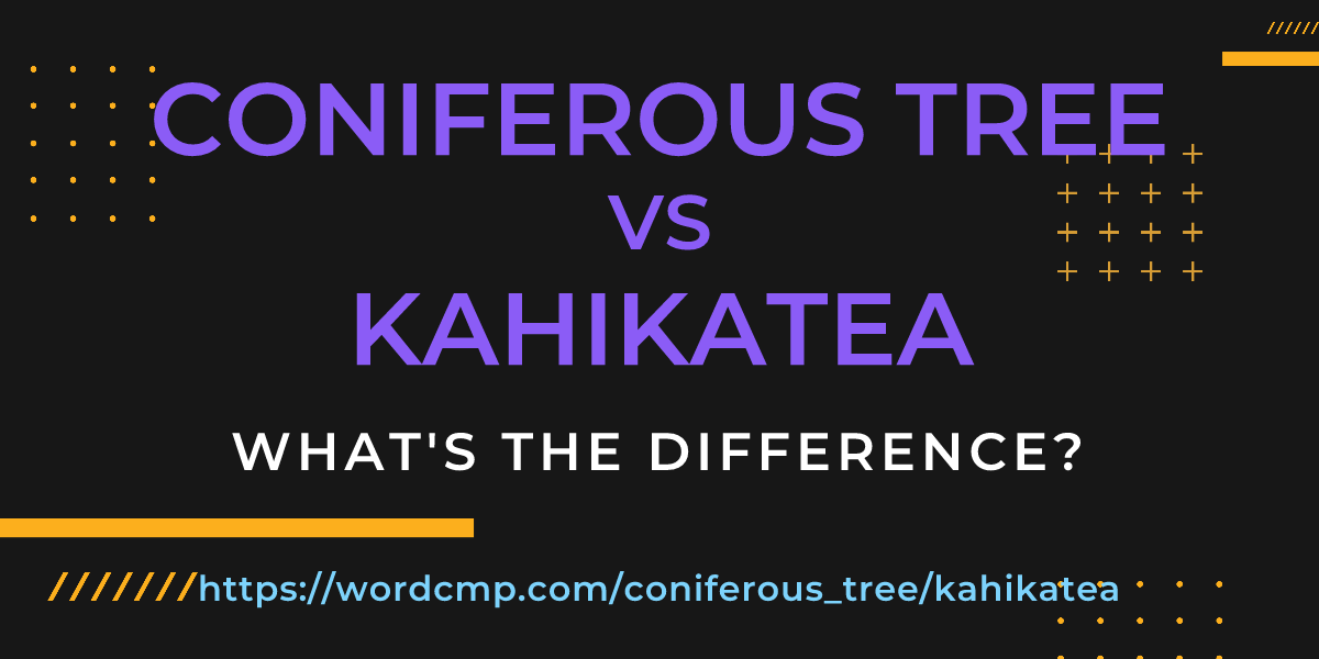 Difference between coniferous tree and kahikatea
