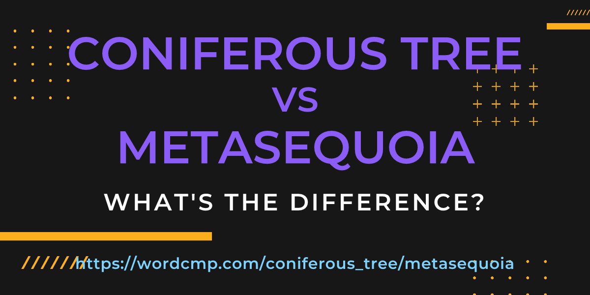 Difference between coniferous tree and metasequoia