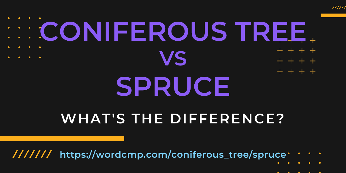 Difference between coniferous tree and spruce