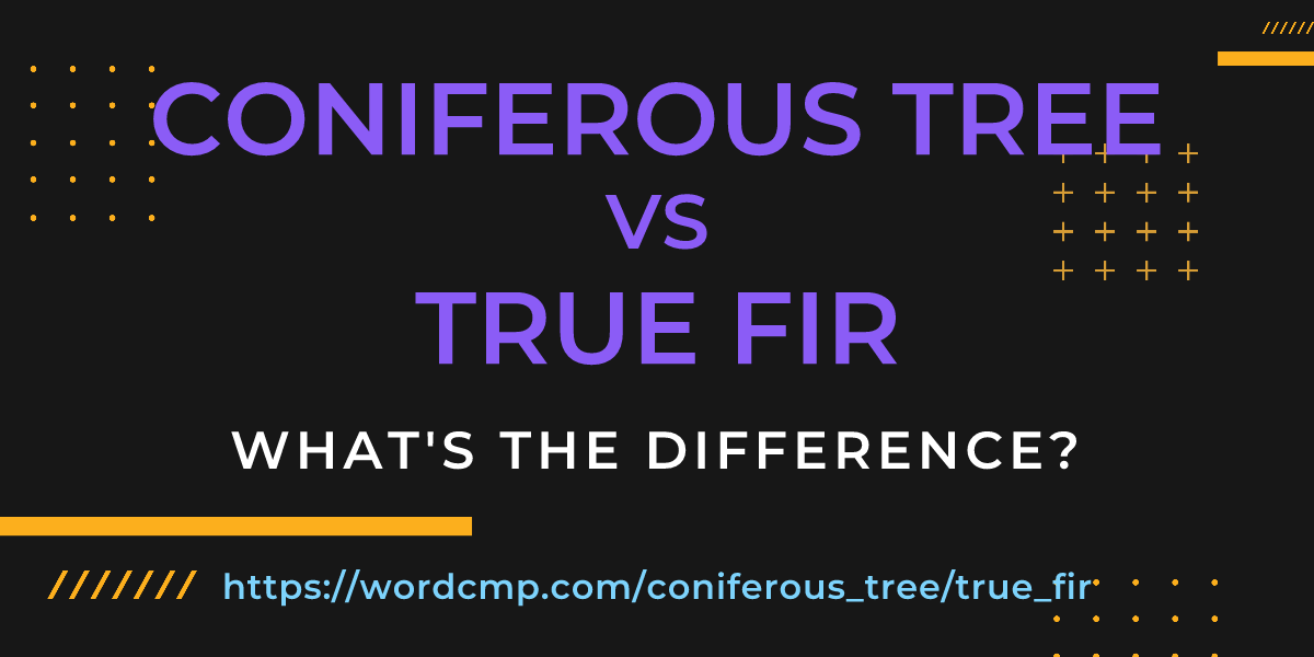Difference between coniferous tree and true fir