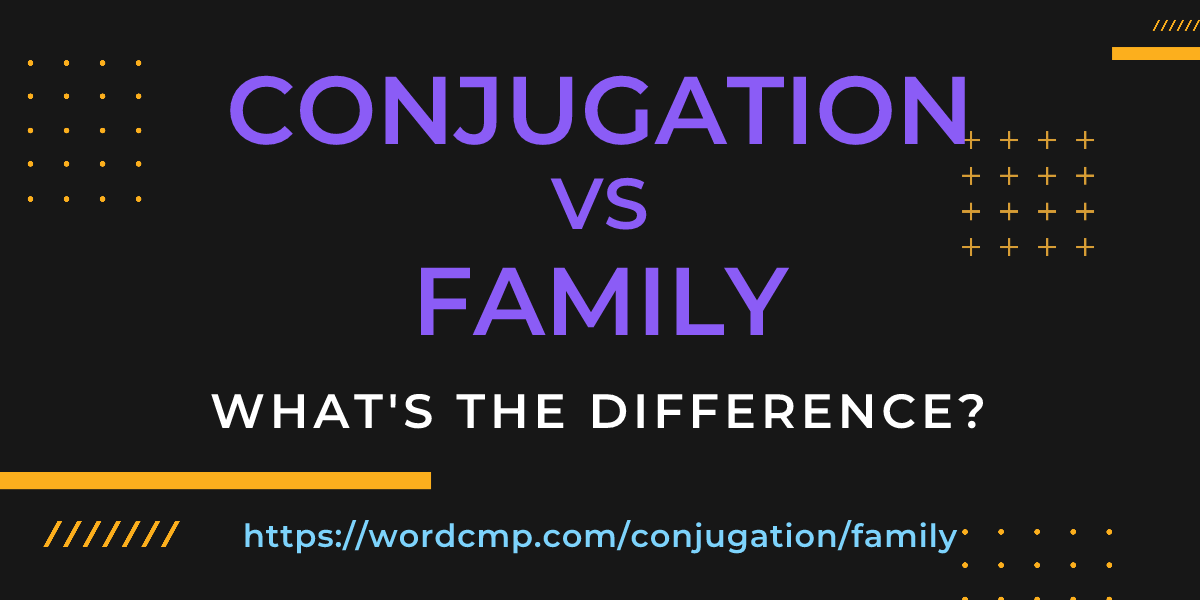 Difference between conjugation and family