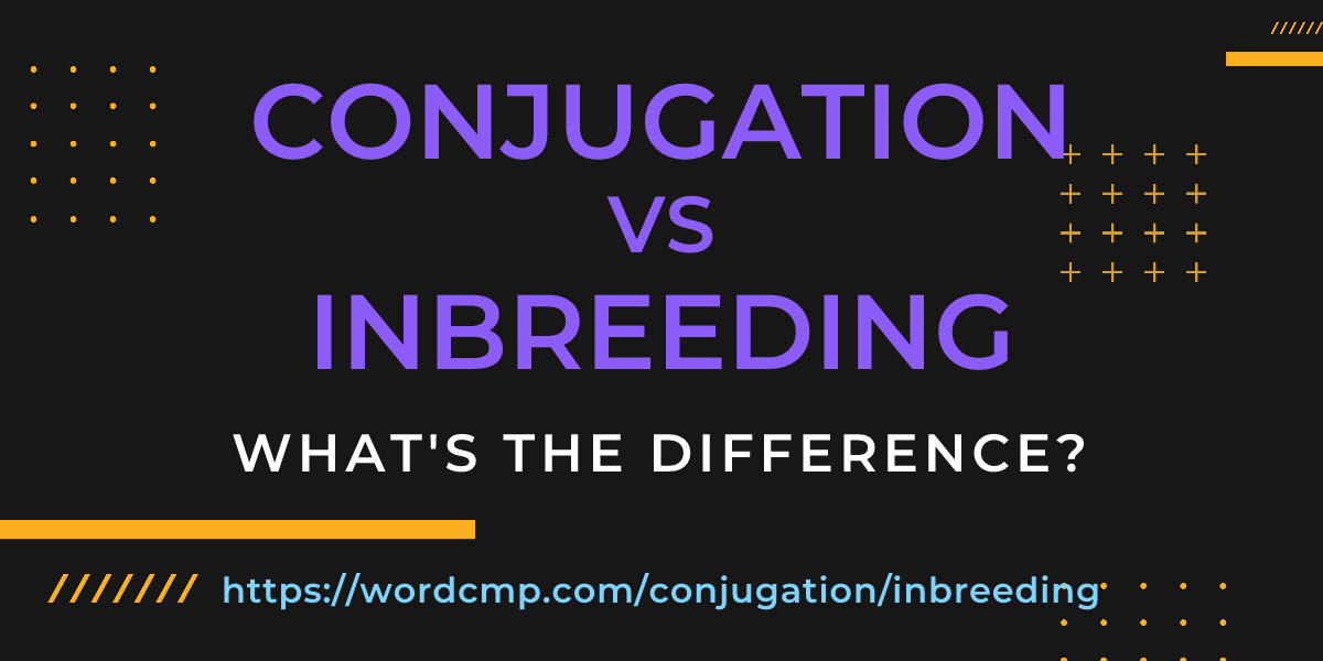 Difference between conjugation and inbreeding