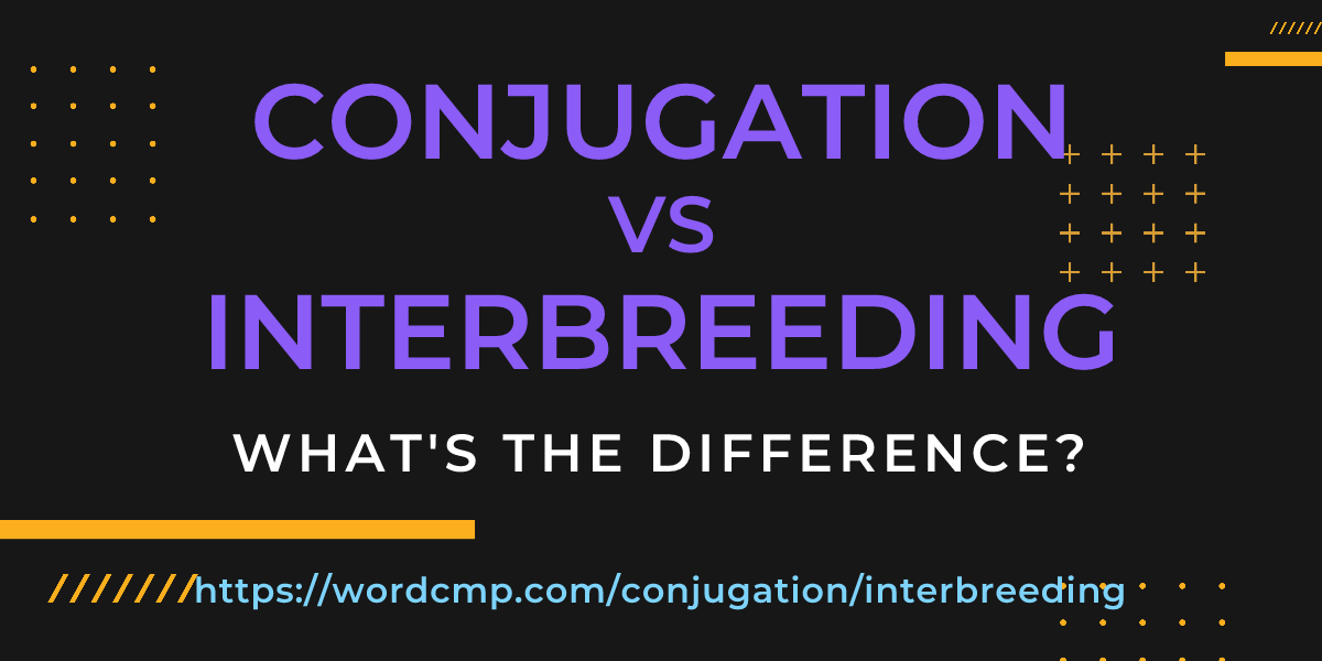 Difference between conjugation and interbreeding