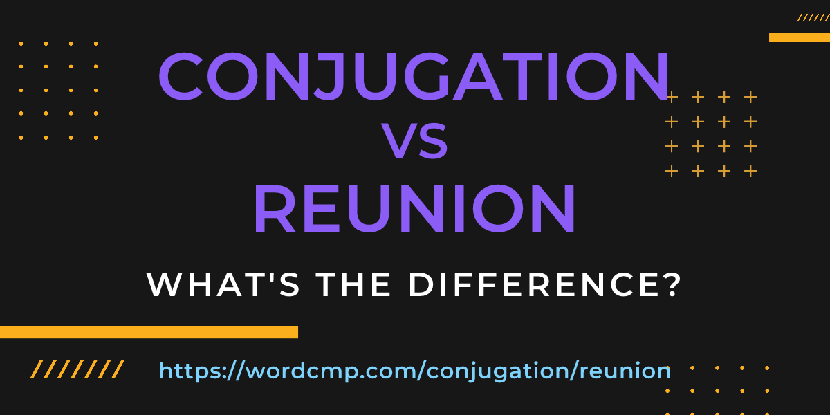 Difference between conjugation and reunion