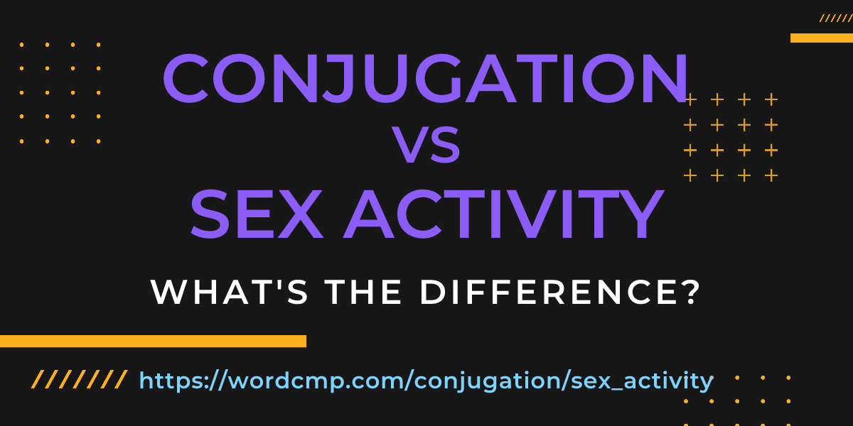 Difference between conjugation and sex activity