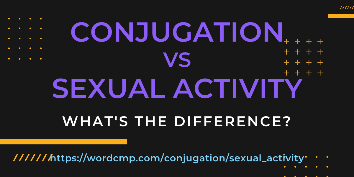 Difference between conjugation and sexual activity