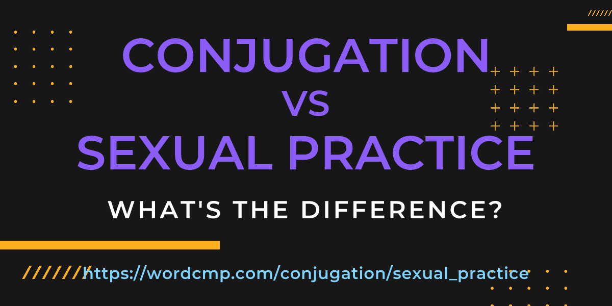 Difference between conjugation and sexual practice