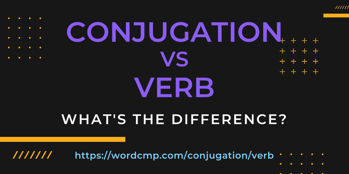 Difference between conjugation and verb